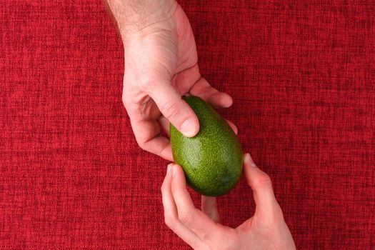 Ripe fruit of green avocado in the hands of a man. Fled lei. High quality photo