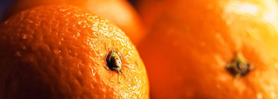 Organic oranges fresh from the garden, healthy food and fruits closeup