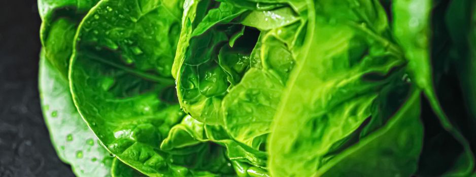 Fresh green lettuce, organic food closeup