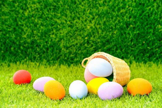 Colorful easter eggs in the basket on green grass background with copy space