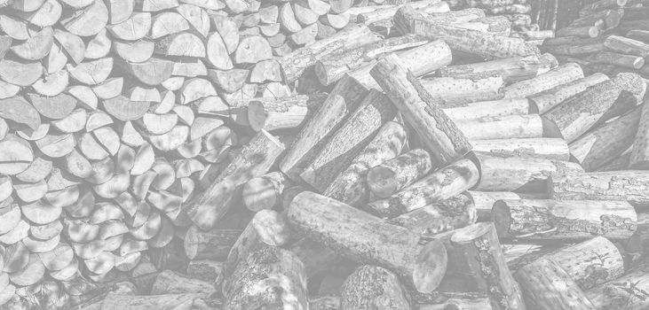 Pile of wood logs ready for winter. Image in light gray tonality