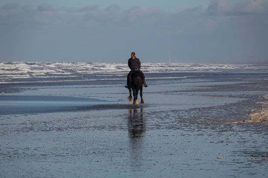 Zandvoort,Holland,13-jan-2021:woman on black horse riding at the beach with the sea as background