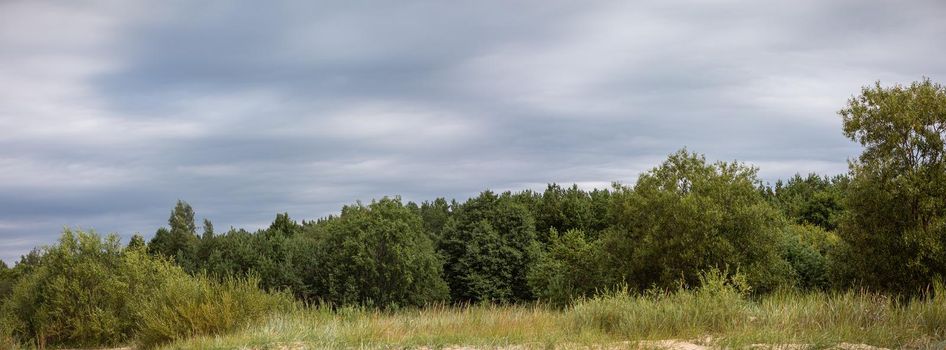 Classical Baltic beach landscape. Wild nature