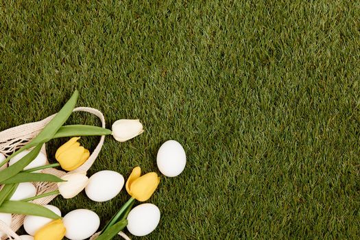 Easter eggs lie on green grass Copy Space decoration. High quality photo