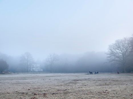 horses and manor beukenrode on utrechtse heuvelrug in winter morning fog