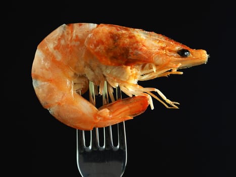 The prawn is royal boiled on a fork, close-up. Macrophotography. High quality photo