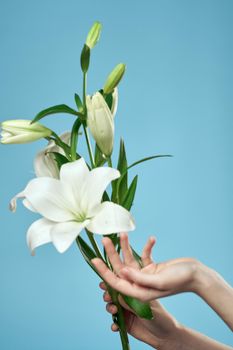 bouquet of white flowers on blue background and female hand cropped view. High quality photo