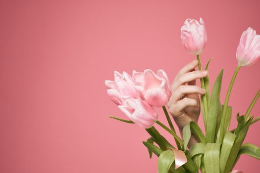 Bouquet of flowers pink background holiday gift. High quality photo