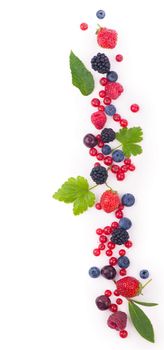 berry mix isolated on a white background.