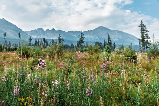 Mountains in National Park High Tatra. Slovakia, Europe