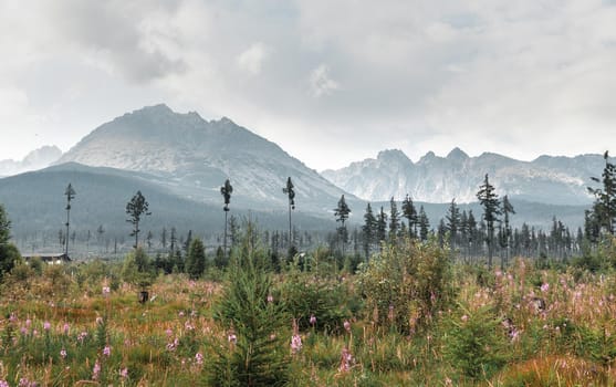 Mountains in National Park High Tatra. Slovakia, Europe