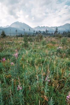 Mountains in National Park High Tatra. Slovakia, Europe