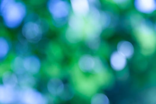 Nature abstract background. Defocused bokeh background. Natural blurred background with trees, leaves and glare of sunlight