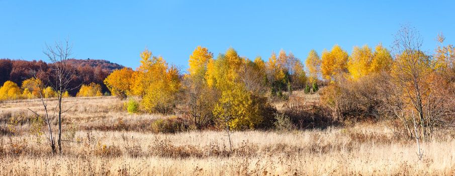 Sunny autumn day in the Carpathian Mountains, Ukraine