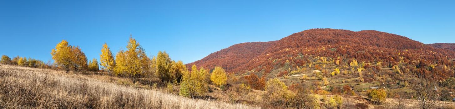 Panorama of Carpathian Mountains on Sunny autumn day. Ukraine