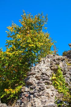 Nevitsky Castle. The wall of an old castle in early autumn
