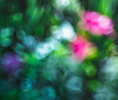 Natural background. Abstract blurred image of a spring garden with defocused spots of flowers in the rays of sunlight. Bokeh background. Element of design