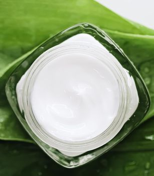 Natural moisturising cream jar on green leaves as beauty flatlay, spa cosmetics and skincare closeup