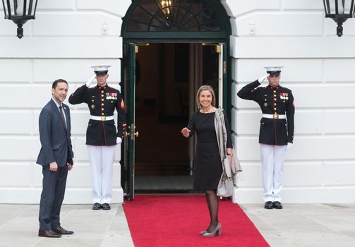 WASHINGTON D.C., USA - Mar 31, 2016: Nuclear Security Summit. High Representative of European Union for Foreign Affairs and Security Policy Federica Mogherini welcomes the participants of the summit