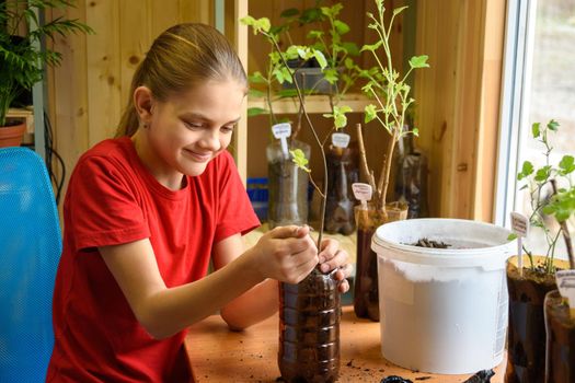 Happy girl pours soil into plastic bottles cut off under a pot for garden plants