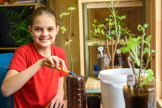Happy girl transplants garden plants and joyfully looks into the frame