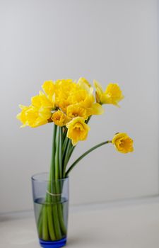 A yellow bouquet of daffodils in a glass vase on the windowsill in the room. A nice gift for your loved one