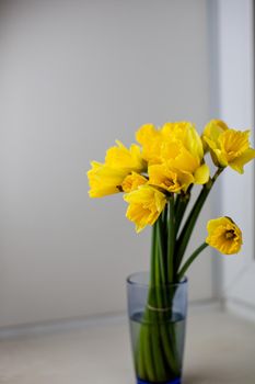 A yellow bouquet of daffodils in a glass vase on the windowsill in the room. A nice gift for your loved one