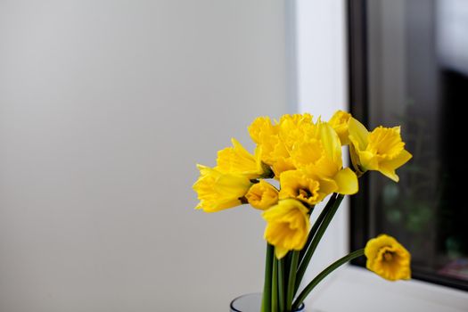 A yellow bouquet of daffodils in a glass vase on the windowsill in the room. A nice gift for your loved one