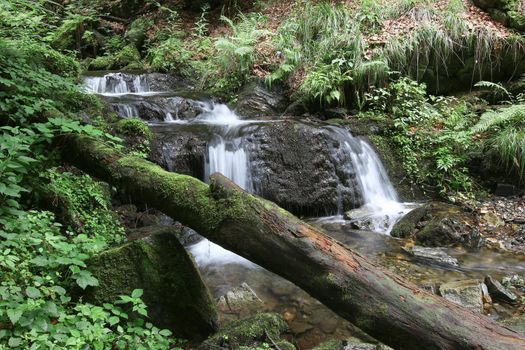 Nyznerov waterfalls on the Siver brook, Czech Republic.