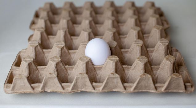 The only egg with a white shell among the empty cells of a large cardboard package, a chicken egg as a valuable nutritious product, the last egg from the tray for carrying fragile items