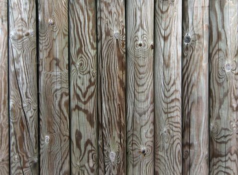 Palisade - fence from wooden stakes - wooden texture