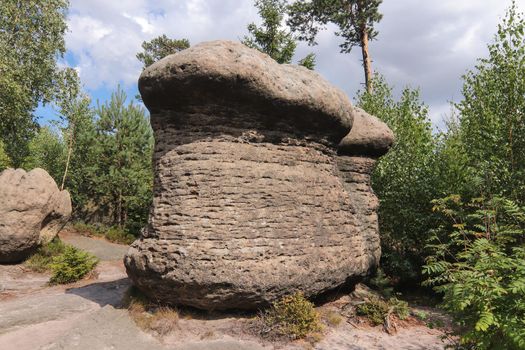 Rock mushrooms - bizarre rock formations, Broumov Walls, PLA Broumovsko, Czech Republic