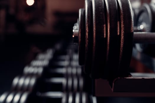 metal dumbbells of various weights on a gym shelf.