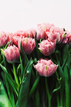 Spring flowers on marble background as holiday gift and floral flatlay concept