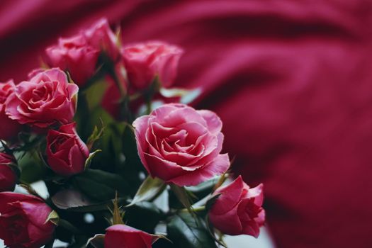 Romantic bouquet of roses, holiday gift and floral beauty closeup