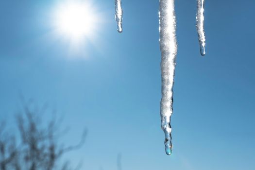 Icicles melt and drip in the spring against the blue sky with the sun and sun rays. Global warming and melting snow and ice. Water dripping against the sky.
