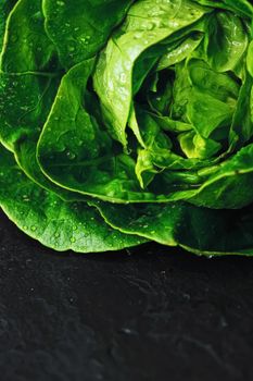 Fresh green lettuce, organic food closeup