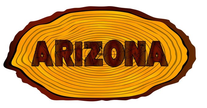A section of a sawn log with the words ARIZONA over a white background