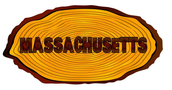 A section of a sawn log with the words MASSACHUSETTS over a white background
