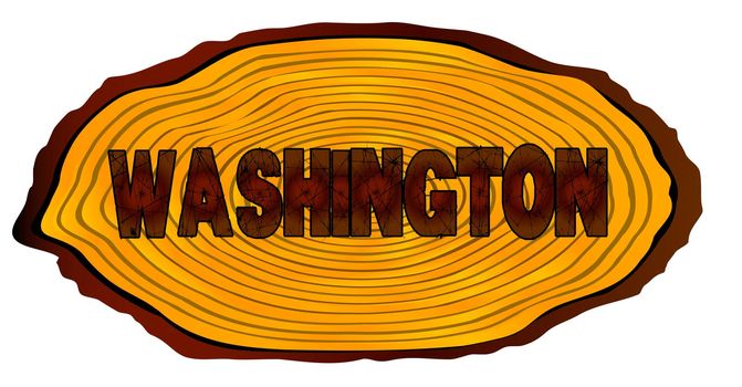 A section of a sawn log with the words WASHINGTON over a white background