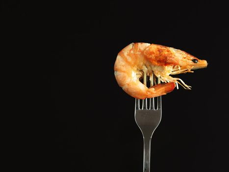 Shrimp boiled royal on a fork, isolated on a black background. High quality photo