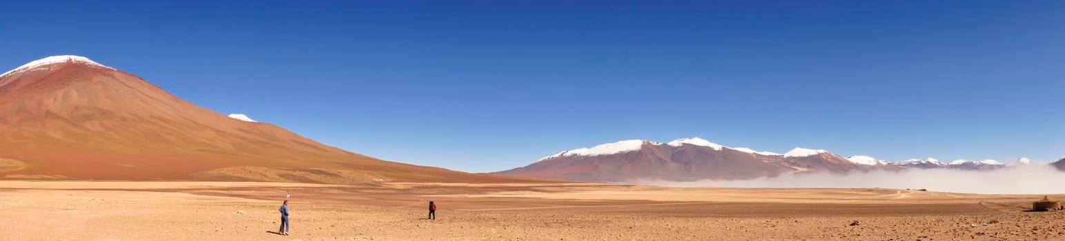 Altiplano Lakes, Bolivia, South America