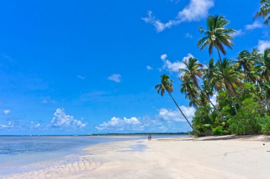 Morro de Sao Paulo, Tropical beach view, Bahia, Brazil, South America