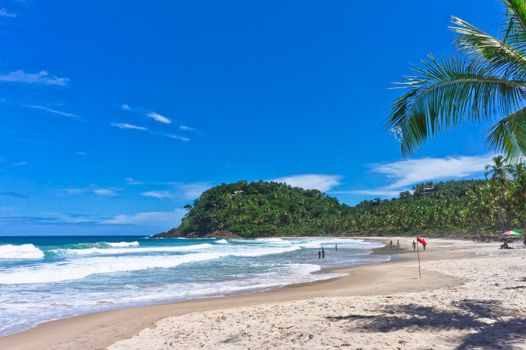 Itacare, Tropical beach view, Bahia, Brazil, South America