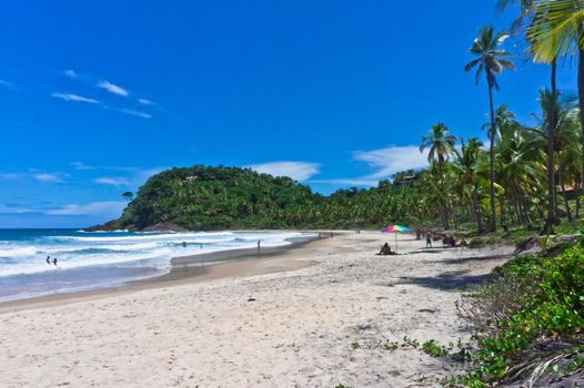 Itacare, Tropical beach view, Bahia, Brazil, South America