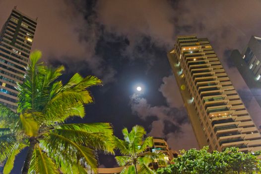 Recife, Beach and modern city view by night, Brazil, South America
