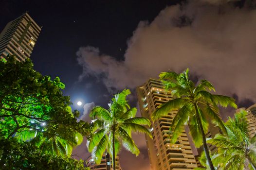 Recife, Beach and modern city view by night, Brazil, South America