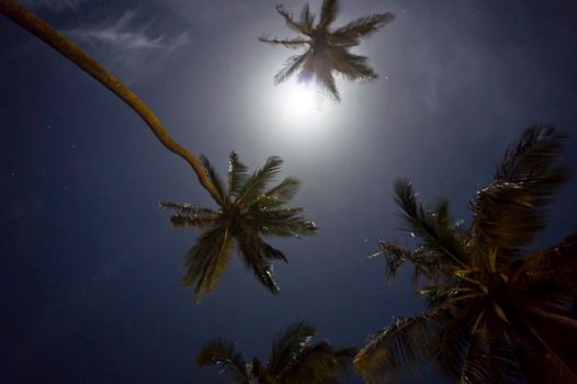 Jericoacoara, Tropical beach night view, Brazil, South America