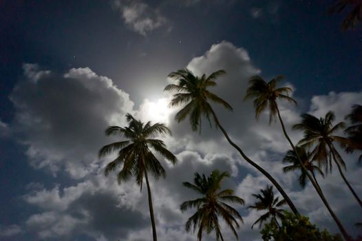 Jericoacoara, Tropical beach night view, Brazil, South America