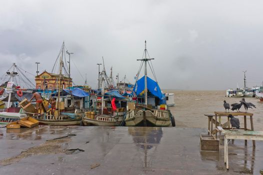 Belem Port view, Amazon Basin, Brazil, South America